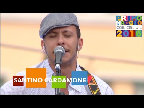 Santino Cardamone